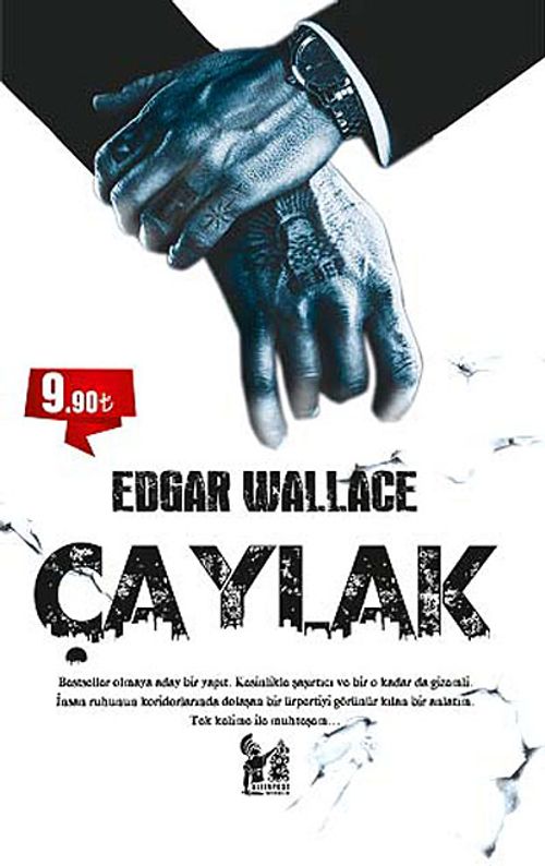 Çaylak