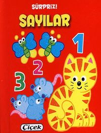 Sürpriz! Sayılar