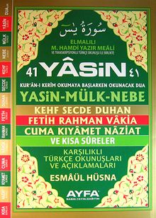 41 Yasin Karşılıklı Türkçe Okunuşları ve Açıklamaları (Cami Boy-Fihristli) (Kod:Ayfa103)