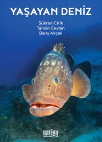 Yaşayan Deniz