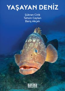 Yaşayan Deniz