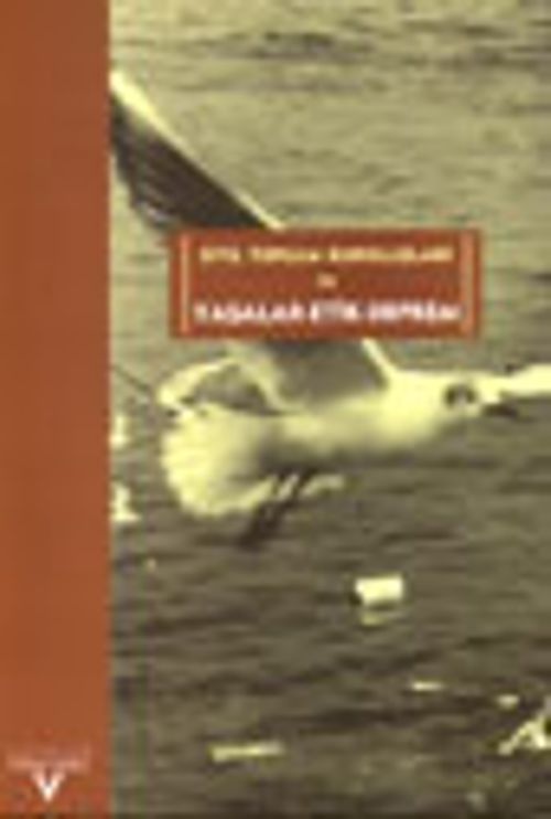 Yasalar-Etik-Deprem ve Sivil Toplum Kuruluşları