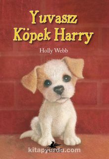 Yuvasız Köpek Harry - Holly Webb
