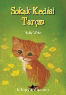 Sokak Kedisi Tarçın - Holly Webb