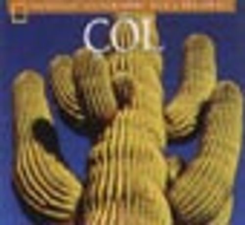 Çöl