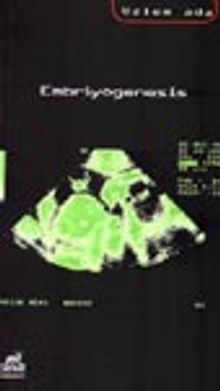 Embriyogenesis