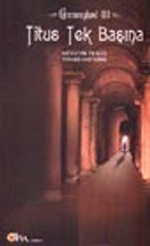 Gormenghast 3-Titus Tek Başına