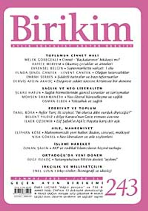 Birikim / Sayı:243  Yıl: 2009 / Aylık Sosyalist Kültür Dergisi