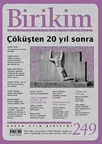 Birikim / Sayı:249  Yıl: 2010 / Aylık Sosyalist Kültür Dergisi