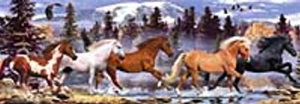 Koşan Atlar 1000 Parça (33x96-Kod:3115)