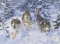 Kış Kralları 1000 Parça (48x66-Kod:3094)