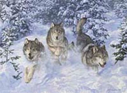 Kış Kralları 1000 Parça (48x66-Kod:3094)