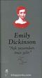 Emily Dickinson Seçme Şiirler
