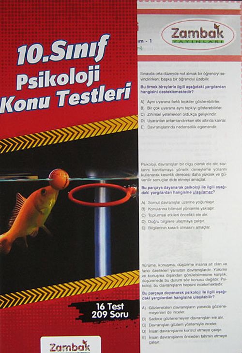 10. Sınıf Psikoloji Konu Testleri (16 Test-209 Soru)