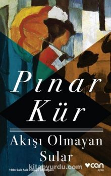 Akışı Olmayan Sular - Pınar Kür