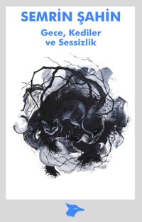 Gece, Kediler ve Sessizlik