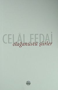 Olağanüstü Şiirler
