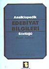 Ansiklopedik Edebiyat Bilgileri S&ouml;zl&uuml;ğ&uuml;/ &Ouml;rnekli A&ccedil;ıklamalı