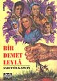 Bir Demet Leyla