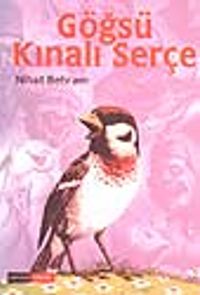 Göğsü Kınalı Serçe