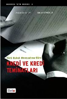 Türk Hukuk Mevzuatına Göre Kredi ve Kredi Teminatları