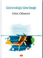 Göründüğü Gibi Değil