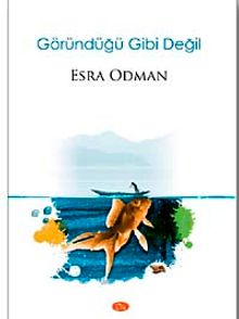 Göründüğü Gibi Değil