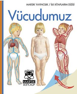 Vücudumuz / İlk Kitaplarım Dizisi