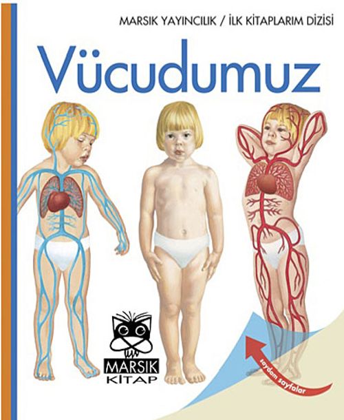Vücudumuz / İlk Kitaplarım Dizisi