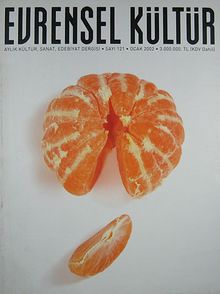 Evrensel Kültür / Aylık Kültür, Sanat, Edebiyat Dergisi - Sayı 121 - Ocak 2002