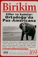 Birikim  Aylık Sosyalist Kültür Dergisi, Mayıs  2003 Sayı:169
