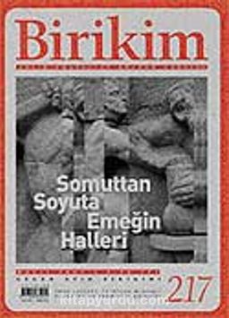 Birikim / Sayı: 217 Yıl: 2007 / Aylık Sosyalist Kültür Dergisi