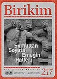 Birikim / Sayı: 217 Yıl: 2007 / Aylık Sosyalist Kültür Dergisi