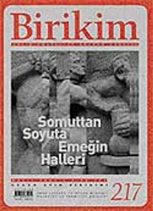 Birikim / Sayı: 217 Yıl: 2007 / Aylık Sosyalist Kültür Dergisi