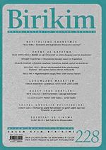 Birikim / Sayı: 228 Yıl: 2008 / Aylık Sosyalist Kültür Dergisi