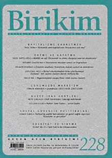 Birikim / Sayı: 228 Yıl: 2008 / Aylık Sosyalist Kültür Dergisi