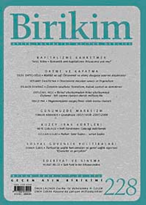 Birikim / Sayı: 228 Yıl: 2008 / Aylık Sosyalist Kültür Dergisi