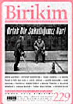 Birikim / Sayı: 229 Yıl: 2008 / Aylık Sosyalist Kültür Dergisi
