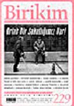 Birikim / Sayı: 229 Yıl: 2008 / Aylık Sosyalist Kültür Dergisi
