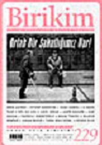 Birikim / Sayı: 229 Yıl: 2008 / Aylık Sosyalist Kültür Dergisi