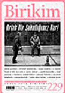 Birikim / Sayı: 229 Yıl: 2008 / Aylık Sosyalist Kültür Dergisi