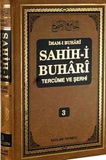 Sahih-i Buhari Tercüme ve Şerhi (Cilt 3)