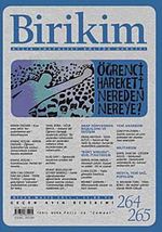 Birikim / Sayı:264-265  Yıl: 2011 / Aylık Sosyalist Kültür Dergisi