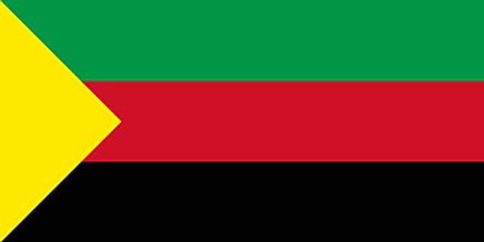 Azavad Bayrağı (20x30)