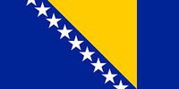 Bosna-Hersek Bayrağı (70x105)