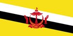 Brunei Bayrağı (20x30)