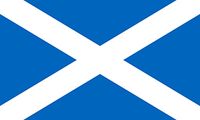 İskoçya Bayrağı (20x30)