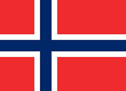 Norveç Bayrağı (20x30)