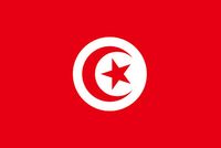 Tunus Bayrağı (20x30)