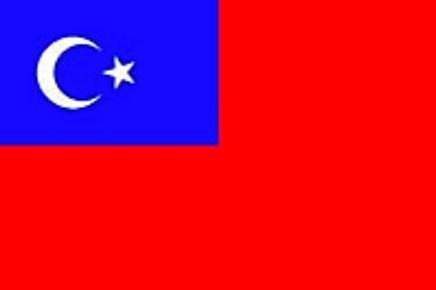 İnguş Türkleri (Rusya, İnguşetya) Bayrağı (70x105)